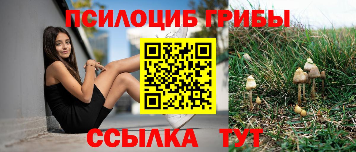 купить   Галлюциногенные грибы Magic Shrooms  Вход с VPN  Маркс 